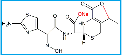 CEFDINIR USP RC A / CEFDINIR OPEN-RING LACTONE 